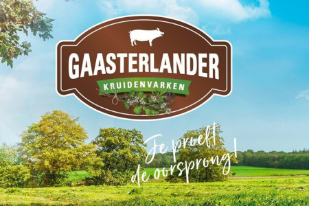 gaasterlander